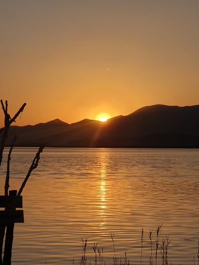 a sunset over a lake with a tree in the foreground