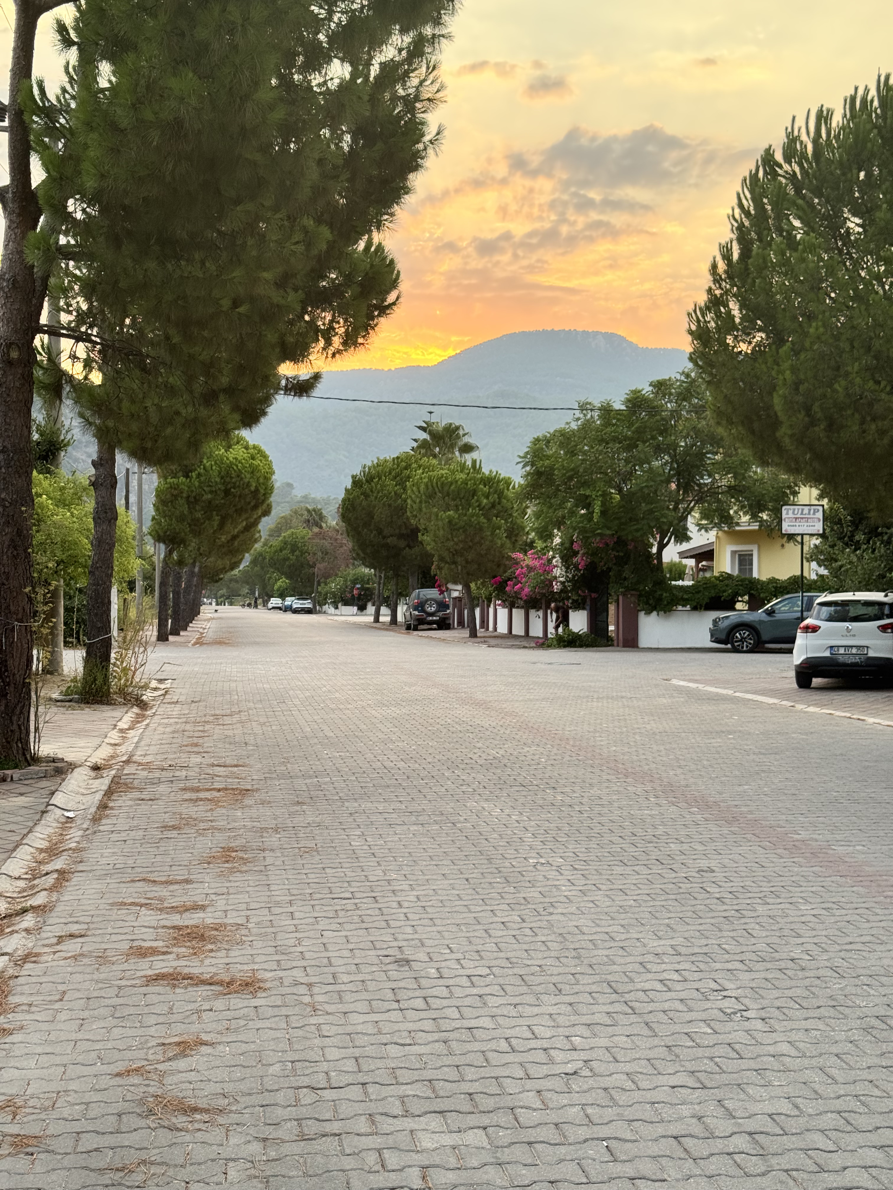 Inland Dalyan countryside with vine gardens, fields and houses among the trees